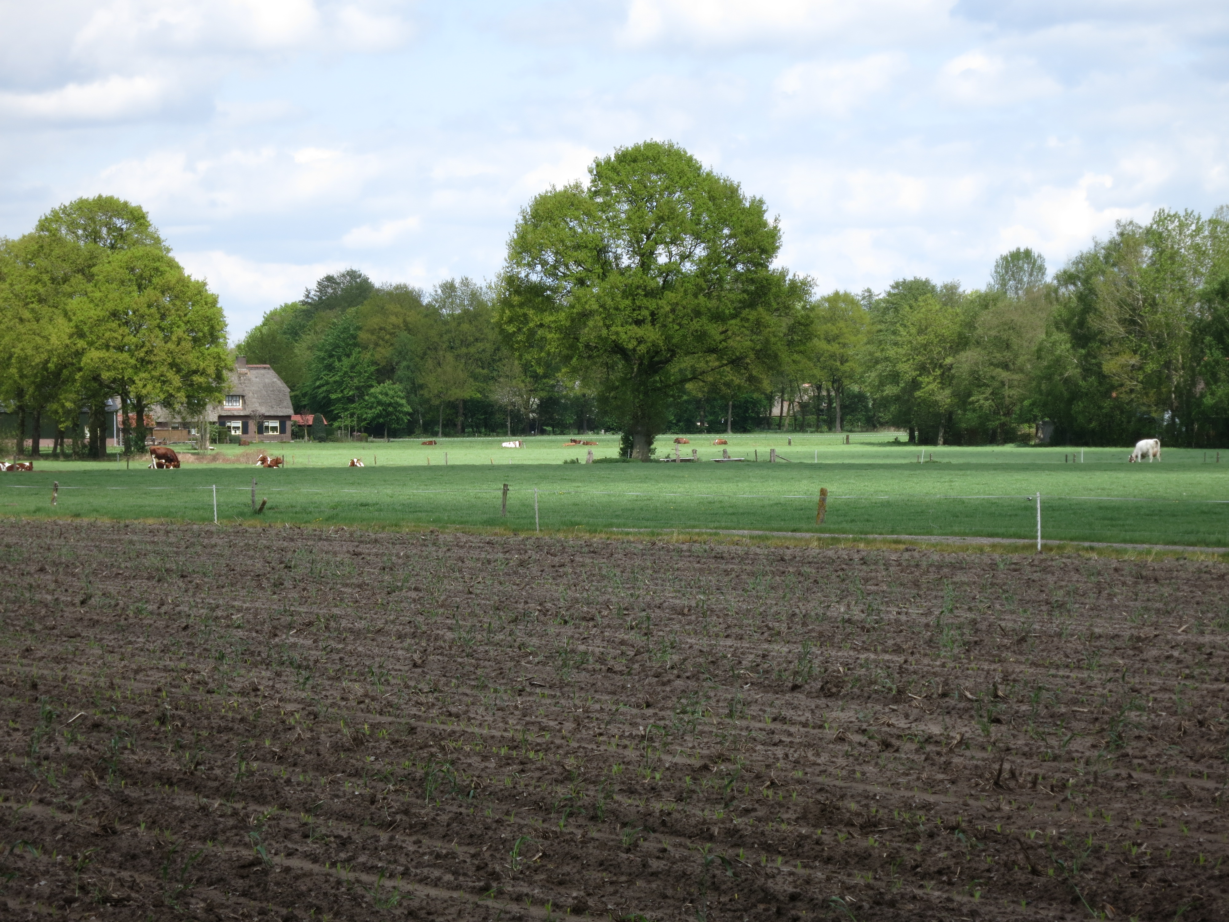 HWK Wekerom099.jpg